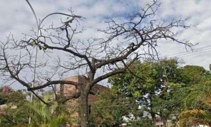 Terreno a venda na Vila Hamburguesa, Sao Paulo | Oportunidade unica!