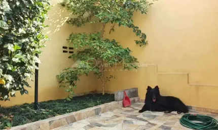 Casa com 2 quartos à venda na Vila Yara, Osasco 