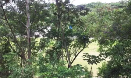 Terreno Comercial a venda no bairro Santa Fe em Osasco