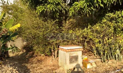 Casa com 3 dormitorios a venda - Jardim Sao Paulo - Pocos de Caldas/MG