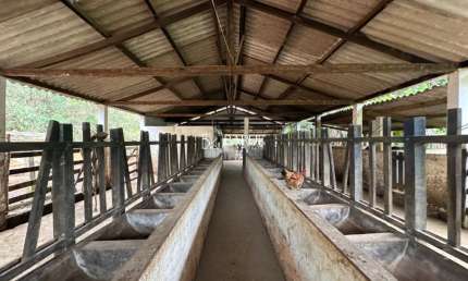 Fazenda de Luxo à Venda em Torreões-MG: 3 Quartos, 1 Suíte, 2 Salas, 4 Banheiros e 90 hectare de Área