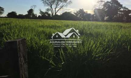 Fazenda Pecuária Beira de Rio, 110 Hectares perto de Cuiabá