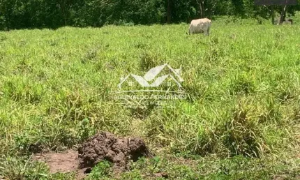 Fazenda à venda na Zona Rural, Jangada 