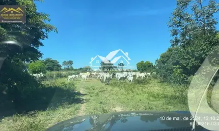 Fazenda Pecuaria 1.956 Hectares Próximo de Cuiabá MT