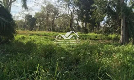 Fazenda Excelete Pecuária 1.800 Hectares com 800 Hectares