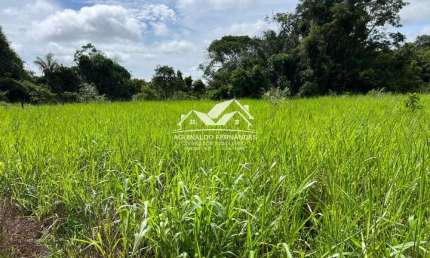 Fazenda com 116 Hectares Terra  Cultura Próxima de Cuiabá MT