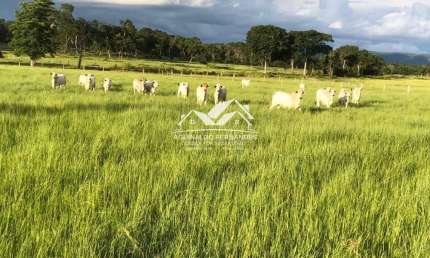 Fazenda à venda no Raizama, Cuiabá 