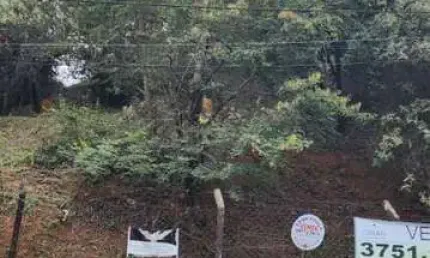 Terreno para Venda em Campinas, Jardim Botânico (Sousas)