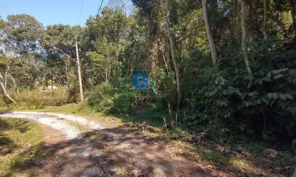 Terreno para Venda em São Roque, Taipas de Pedras (Mailasqui)
