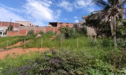 Lote Bairro Cidade Nova, Cód. L102, 300 m², dev. Registr. Perto da avenida. Região de Ipatinga