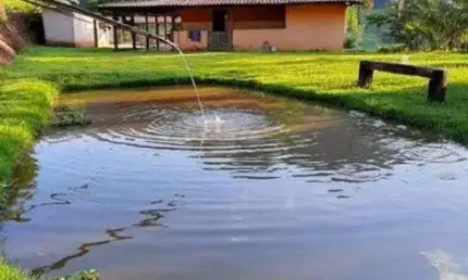 Sítio em Antônio Dias. Cód. S004. Pomar, Curral, Jardim, Piscina e várias nascentes.