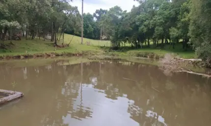 Área rural para moradia ou lazer - campo largo da roseira - venda total/parcial