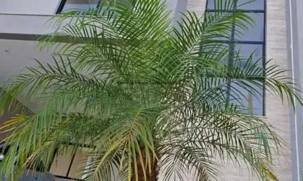 Sobrado com 3 quartos - condomínio residencial foggiatto