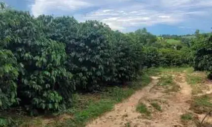 Chácara / sítio com 2 quartos à venda no Morro Torto, Indaiatuba 