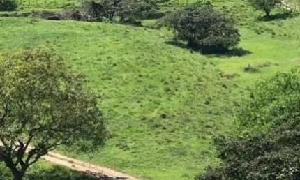 Fazenda à venda no Centro, Silva Jardim 