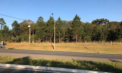 Terreno comercial à venda na da Ribeira - BR-476, 500, Guaraituba, Colombo, 24300 m2 por R$ 4.000.000