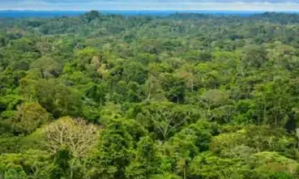 Terreno à venda no Centro, Tapauá 
