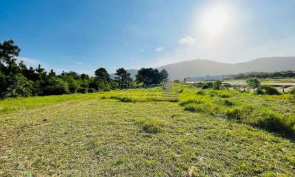 Terreno comercial à venda na Rua Candido Pereira dos Anjos, --, São João do Rio Vermelho, Florianópolis por R$ 12.720.000