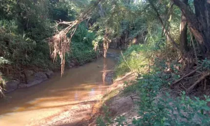 Chácara / sítio à venda na beira do asfalto, 1010, centro, coronel macedo por r$ 1.590.000