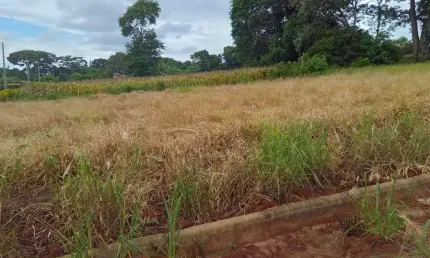 Terreno à venda na Belo Horizonte, 1010, Centro, Barão de Antonina por R$ 75.000