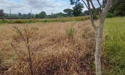 Terreno à venda na Belo Horizonte, 1010, Centro, Barão de Antonina por R$ 75.000