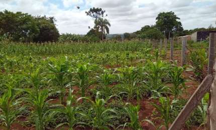 Terreno à venda na estrada briene, 1010, Samanbaial, Barão de Antonina por R$ 42.900