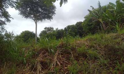 Terreno à venda na próximo a delegacia, 1010, Centro, Barão de Antonina por R$ 45.000