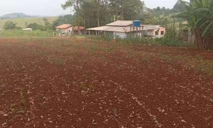 Chácara / sítio com 2 quartos à venda na Rural, 1011, Zona Rural, Barão de Antonina por R$ 200.000