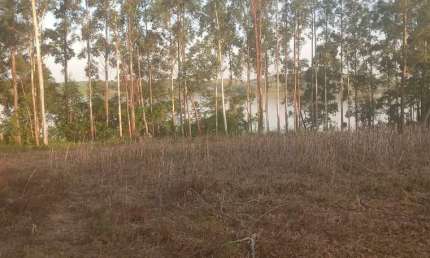 Chácara / sítio à venda na Rural, 1, Zona Rural, Barão de Antonina por R$ 95.000