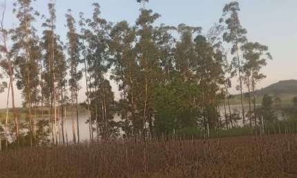 Chácara / sítio à venda na Rural, 1010, Zona Rural, Barão de Antonina por R$ 95.000