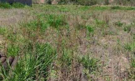 Terreno à venda na Volta Grande, 1010, Vale Verde, Itaporanga por R$ 70.000