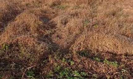 Terreno à venda na Rua Teresina, 1010, Centro, Barão de Antonina por R$ 160.000