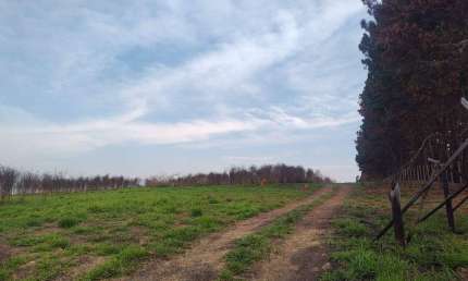 Terreno à venda na Castelo Brano Km 90, 90, Zona Rural, Águas de Santa Bárbara por R$ 9.450.000