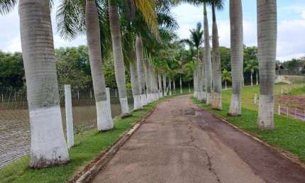 Fazenda à venda na RUA rural, 1020, Centro, Itapetininga por R$ 16.000.000