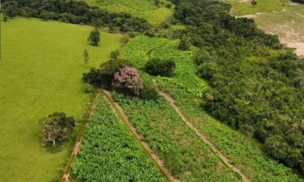 Chácara / sítio à venda na Angatuba, Centro, Angatuba por R$ 4.200.000