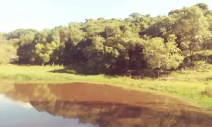 Chácara / sítio à venda na Zona Rural, Capela do Alto  por R$ 1.300.000