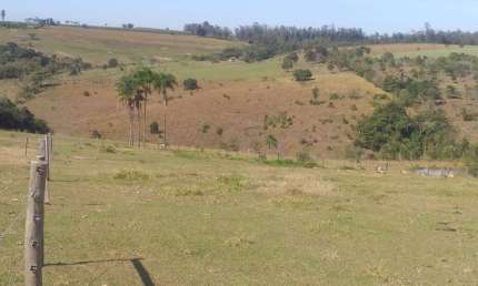 Chácara / sítio com 3 quartos à venda na Estrada Vicinal, 1010, Centro, Carlópolis por R$ 650.000