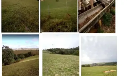 Chácara / sítio à venda na Rua Francisco Barros Leite, Centro, Salto de Pirapora por R$ 3.750.000