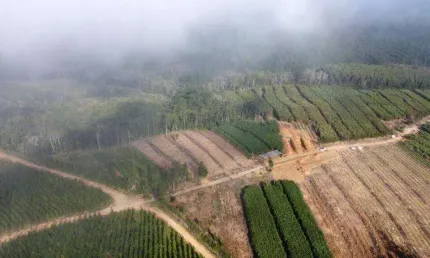 Chácara / sítio à venda na 9 km da pista bairro ibaitinga, zona rural, são miguel arcanjo por r$ 2.500.000