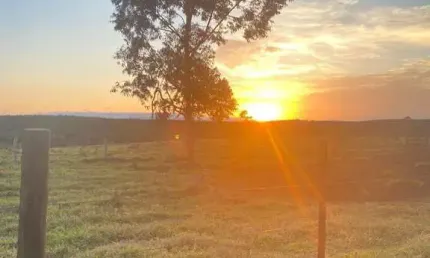Chácara / sítio à venda na Vicinal, Floresta, Sarapuí por R$ 6.000.000