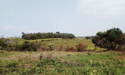 Chácara / sítio à venda na Sitio Em Carlópolis, 01, Zona Rural, Carlópolis por R$ 1.600.000