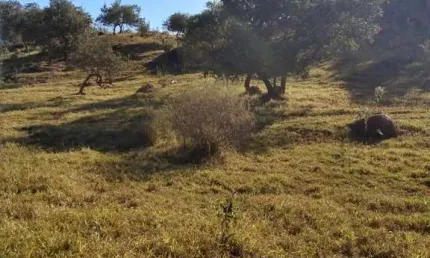 Terreno à venda na Antonio Paes  Ramal 1, 1, Caputera, Sorocaba por R$ 6.779.200