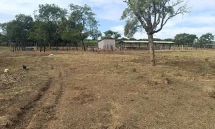 Terreno à venda na rural, 9999, zona rural, capela do alto por r$ 210.000