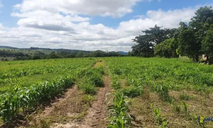 Chácara / sítio à venda na Botucatu, Zona Rural, Botucatu por R$ 3.500.000