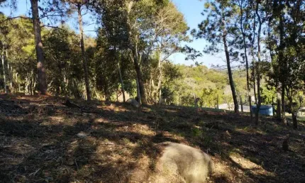 Chácara / sítio à venda na Vicinal, 6, Campo Verde, Ibiúna por R$ 150.000