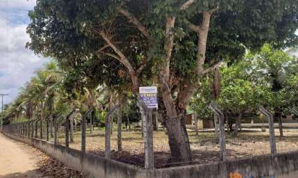 Chácara / sítio com 3 quartos à venda na Estrada de Tanquinho, 135, Subaé (Tanquinho), Feira de Santana