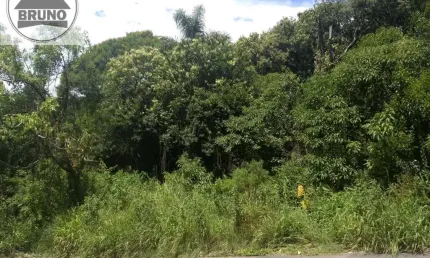Terreno comercial à venda na Rua Capitão Carlos Henrique Castor, 597, Pilarzinho, Curitiba