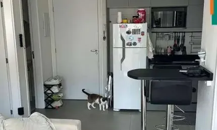 Apartamento a venda no butantã, são paulo, sp, com 37 m² de área construída, 2 dormitórios, sala, garagem 1 auto.