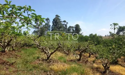 Fazenda à venda na dezidério bernardinetti, s/n°, reforma agrária, valinhos, 350 m2 por r$ 1.870.000