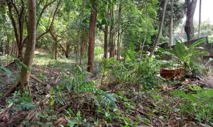 Terreno em condomínio fechado à venda na recanto, chácara flora, são paulo por r$ 10.000.000